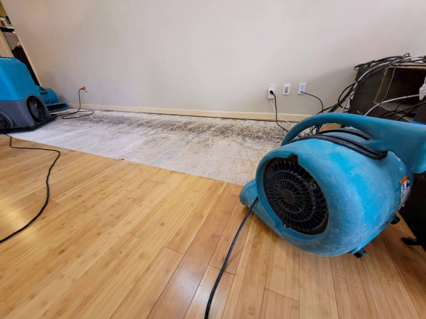 Professional Water Damage Repair technician working in Ridgecrest, FL